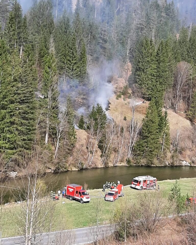 Mehr über den Artikel erfahren Waldbrand in Krampen
