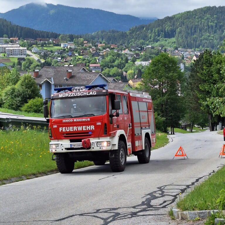 Mehr über den Artikel erfahren Fahrzeugbergung / Unterstützung RK