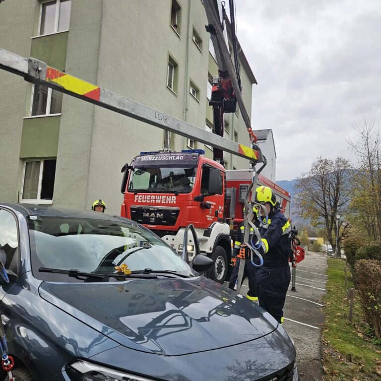 Mehr über den Artikel erfahren Technische Hilfeleistung