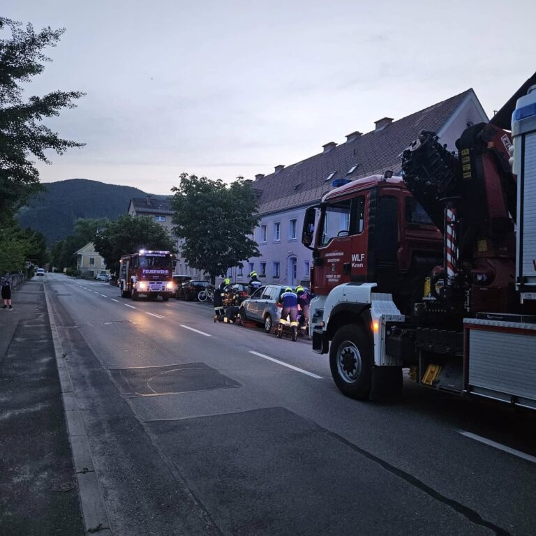 Mehr über den Artikel erfahren PKW gegen Hausmauer